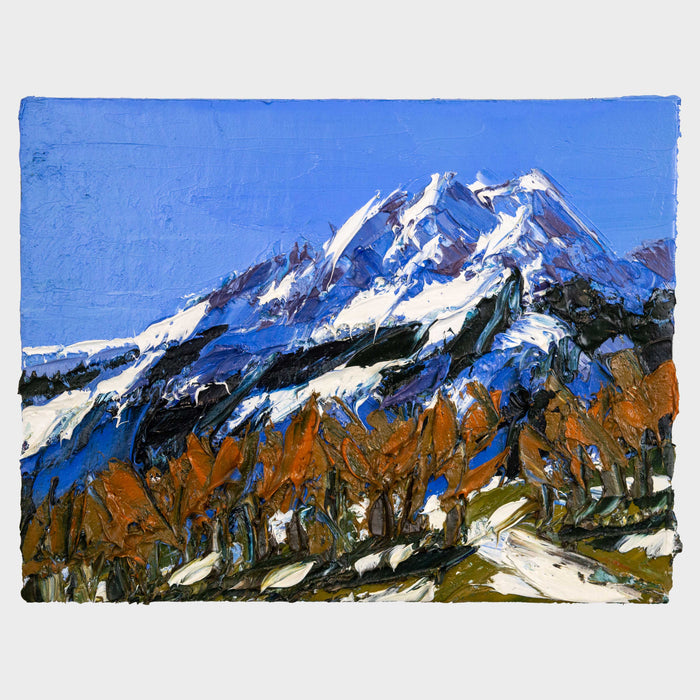 Approaching the Alps (Chamonix)