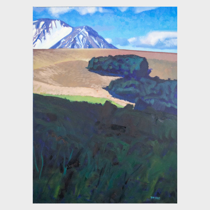 Edge of the Forest, Castle Hill