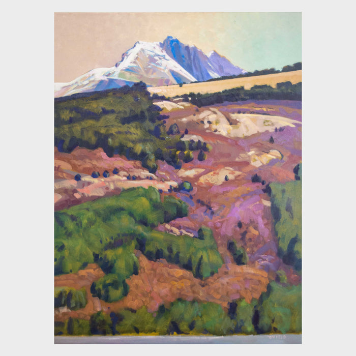 Mountains Beyond Bealey Spur