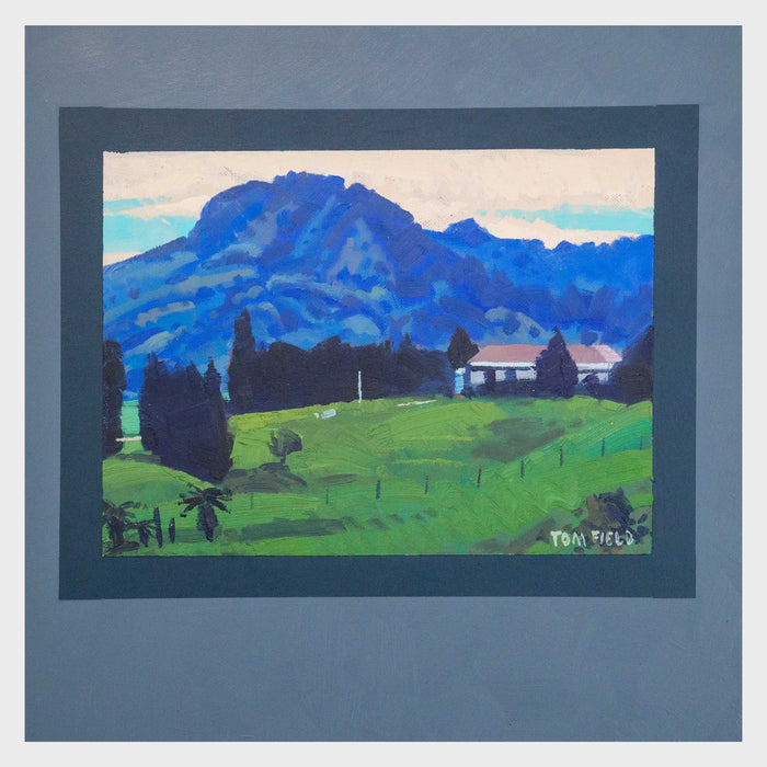 Mt Courtney, Walkers Flat, Buller