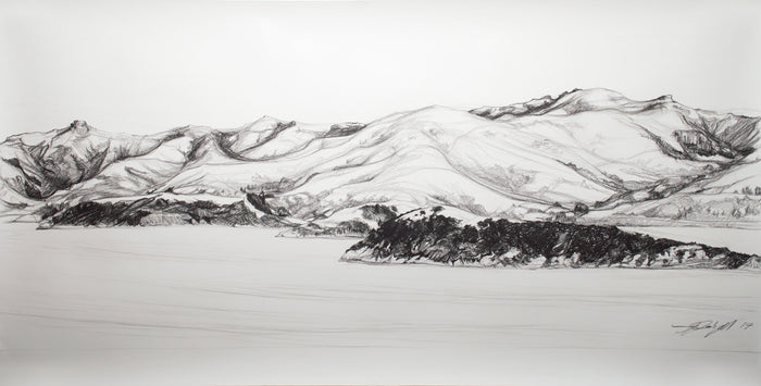 DETAIL: Anna Dalzell - Akaroa Harbour