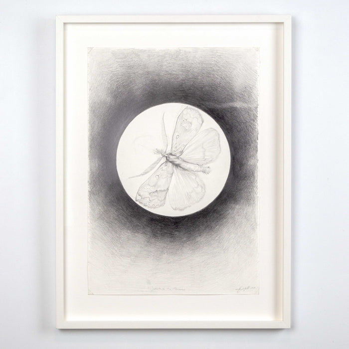 The Moth To The Flame