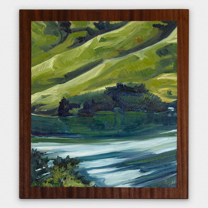 First Light from the Bedroom Window