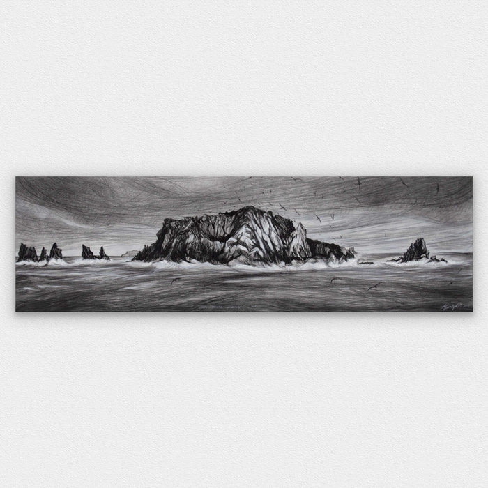 Outer Islands, The Snares