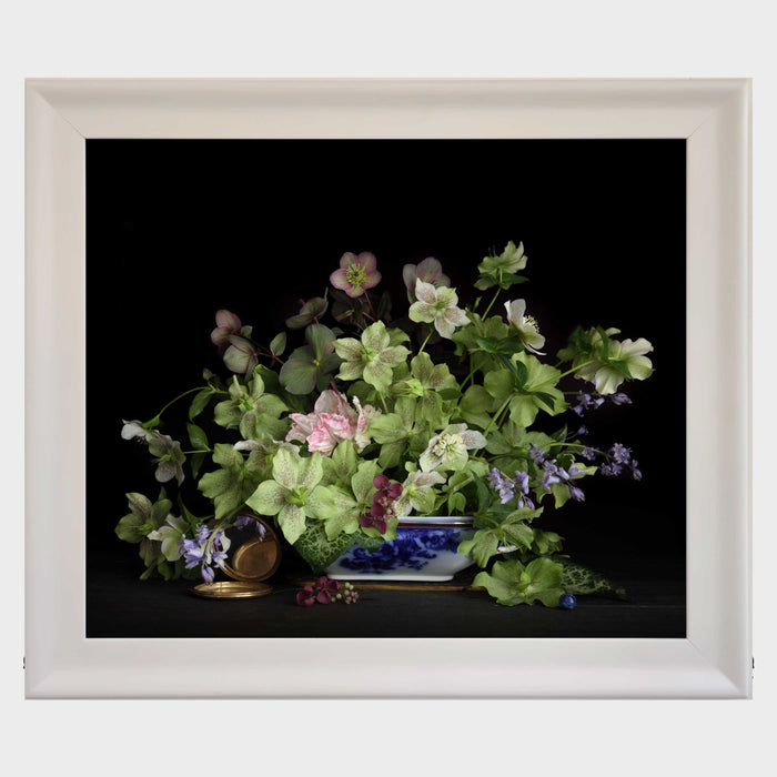 Hellebores in a blue and white dish
