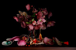 Load image into Gallery viewer, Hellebore
