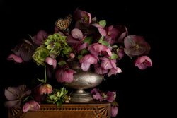 Load image into Gallery viewer, Still Life with Hellebore
