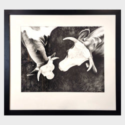 Load image into Gallery viewer, How Now Brown Cow?
