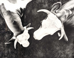Load image into Gallery viewer, How Now Brown Cow?
