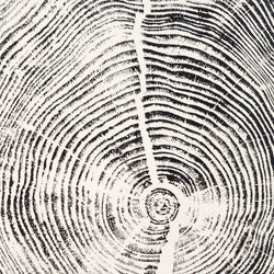 Load image into Gallery viewer, Milled Timber
