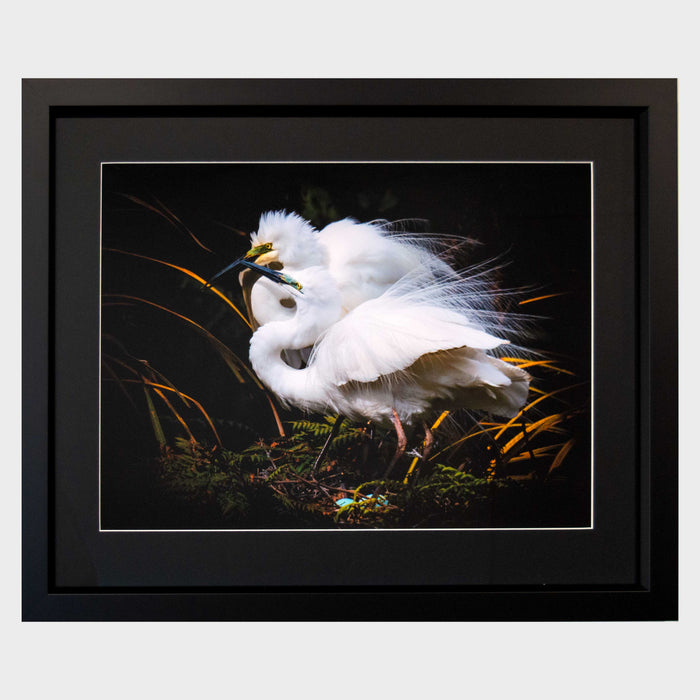 White Heron, Whataroa