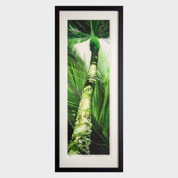 Load image into Gallery viewer, Tall Poppy
