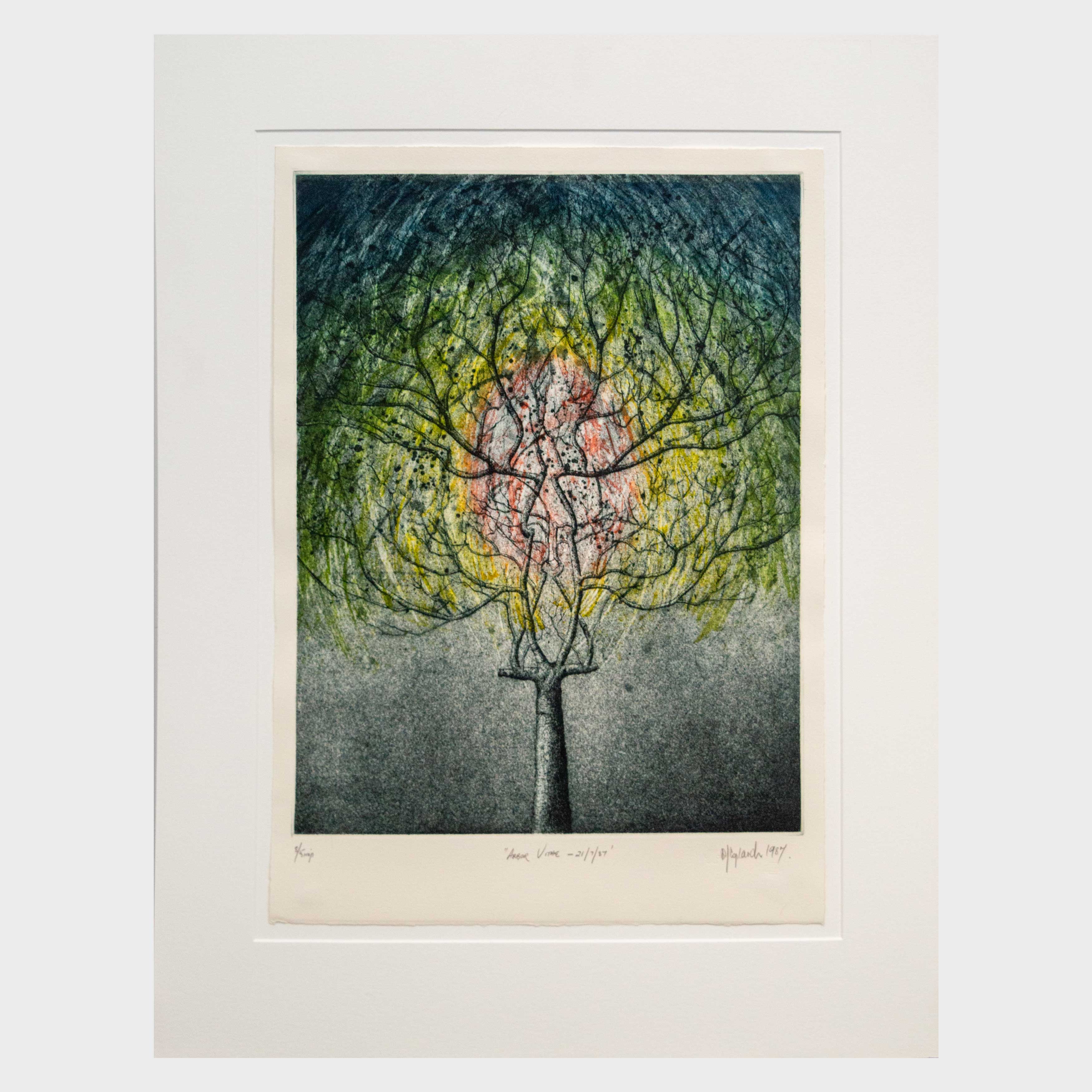 Arbor Vitae 21/7/87