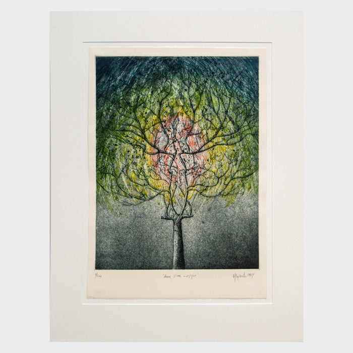 Arbor Vitae 21/7/87