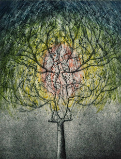 Load image into Gallery viewer, Arbor Vitae 21/7/87
