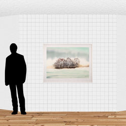 Load image into Gallery viewer, Winter Copse
