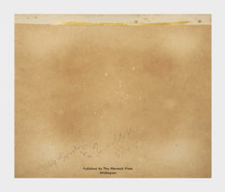 Load image into Gallery viewer, Pūkeko
