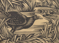 Load image into Gallery viewer, Pūkeko
