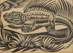 Load image into Gallery viewer, Tuatara
