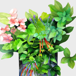 Load image into Gallery viewer, Garden Cuttings
