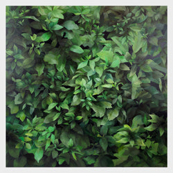 Load image into Gallery viewer, Rākau Taumatua
