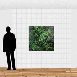 Load image into Gallery viewer, Rākau Taumatua
