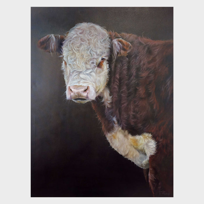 Young Hereford
