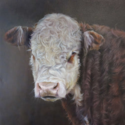 Load image into Gallery viewer, Young Hereford

