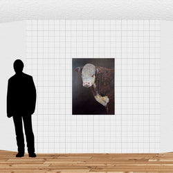 Load image into Gallery viewer, Young Hereford
