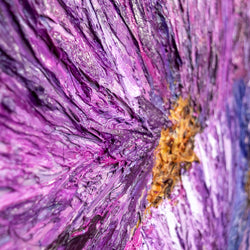 Load image into Gallery viewer, Peonies
