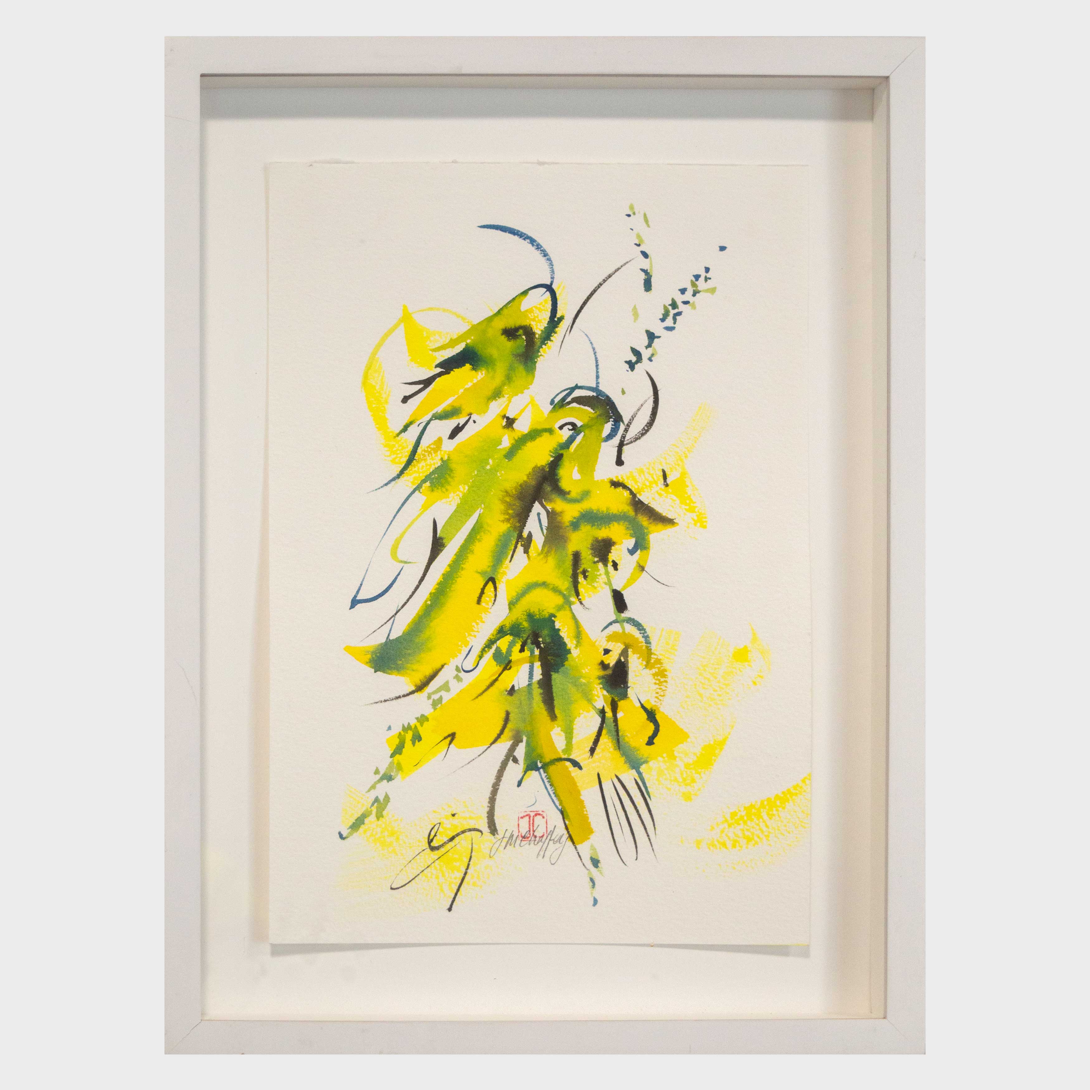 Kowhai Flowers