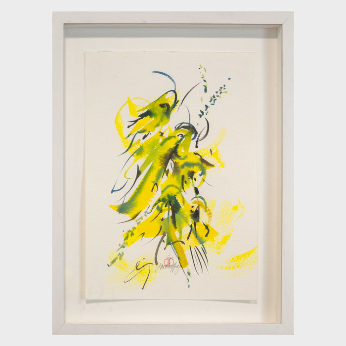 Kowhai Flowers