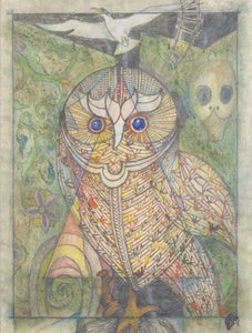 Untitled (Owl)