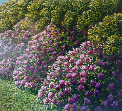 Load image into Gallery viewer, Rata
