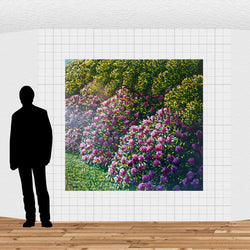 Load image into Gallery viewer, Rata
