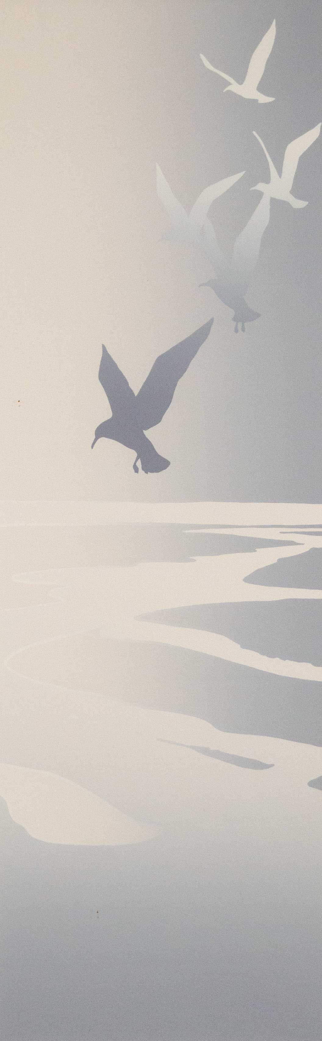 Gulls, Waimea Estuary