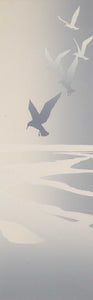 Gulls, Waimea Estuary