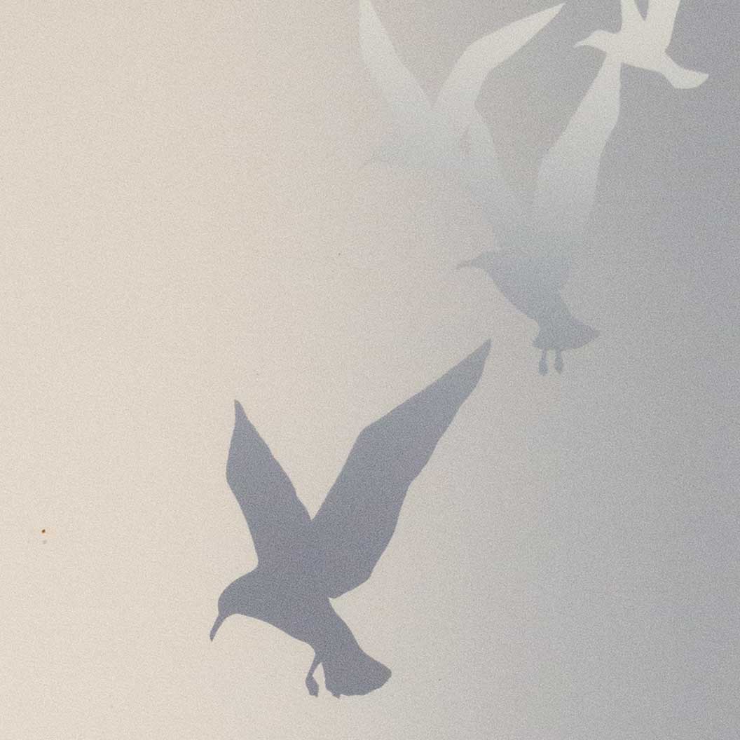 Gulls, Waimea Estuary