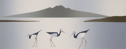Load image into Gallery viewer, Rangitoto and Pied Stilt
