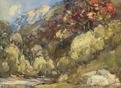Load image into Gallery viewer, Untitled - South Island
