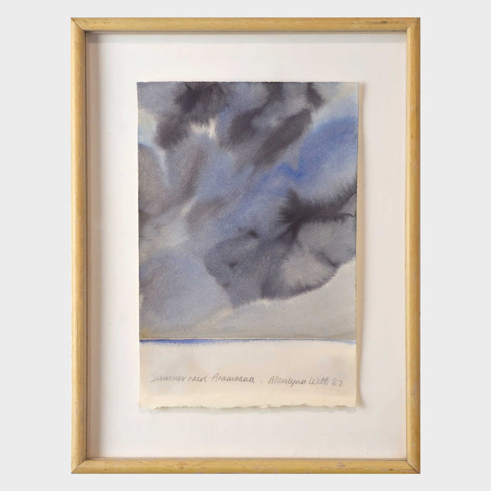 Summer Rain, Aramoana