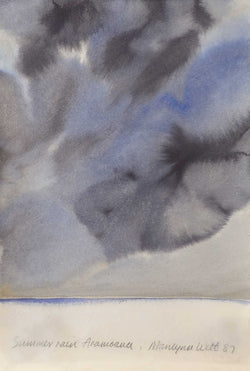 Load image into Gallery viewer, Summer Rain, Aramoana
