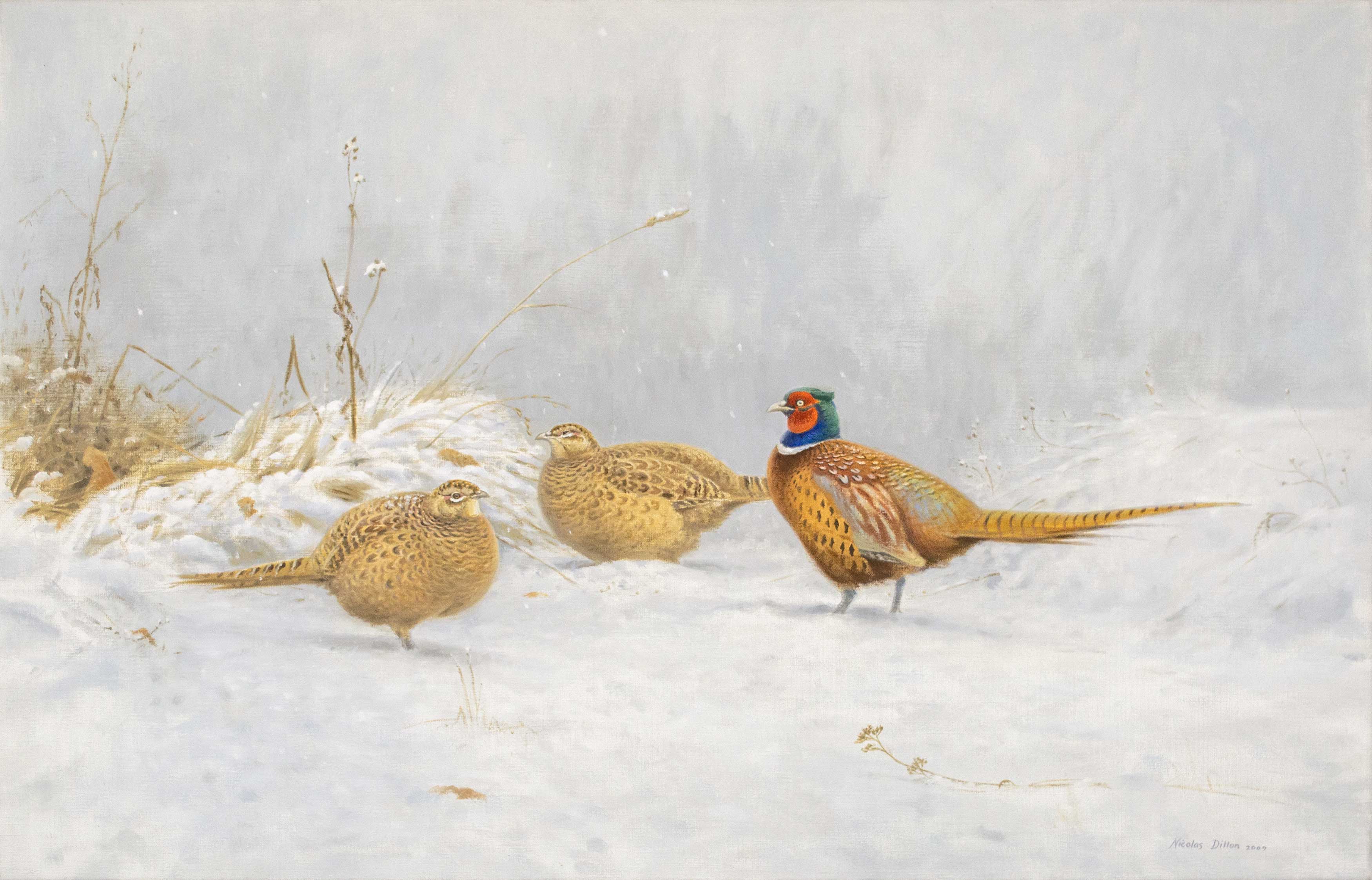 Untitled - Pheasants