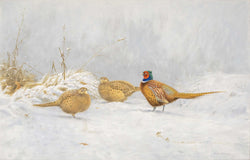 Load image into Gallery viewer, Untitled - Pheasants
