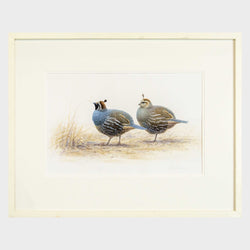 Load image into Gallery viewer, Untitled - Quail
