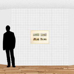 Load image into Gallery viewer, Motuauruhi, Hauturu II, Te Toka Rurenga Tai, Poupourere Ake
