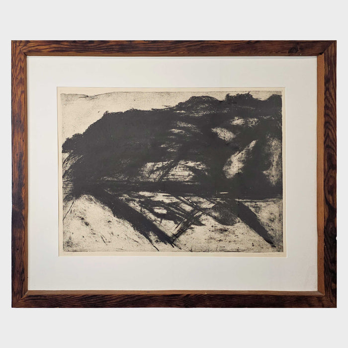 Untitled (Ohau Landscape)