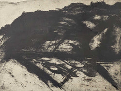 Load image into Gallery viewer, Untitled (Ohau Landscape)
