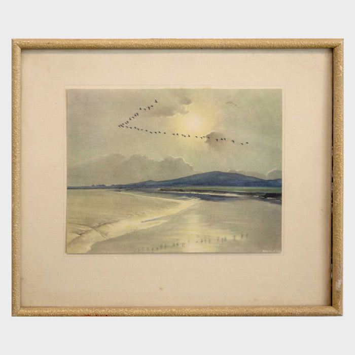 Untitled - Birds in Flight