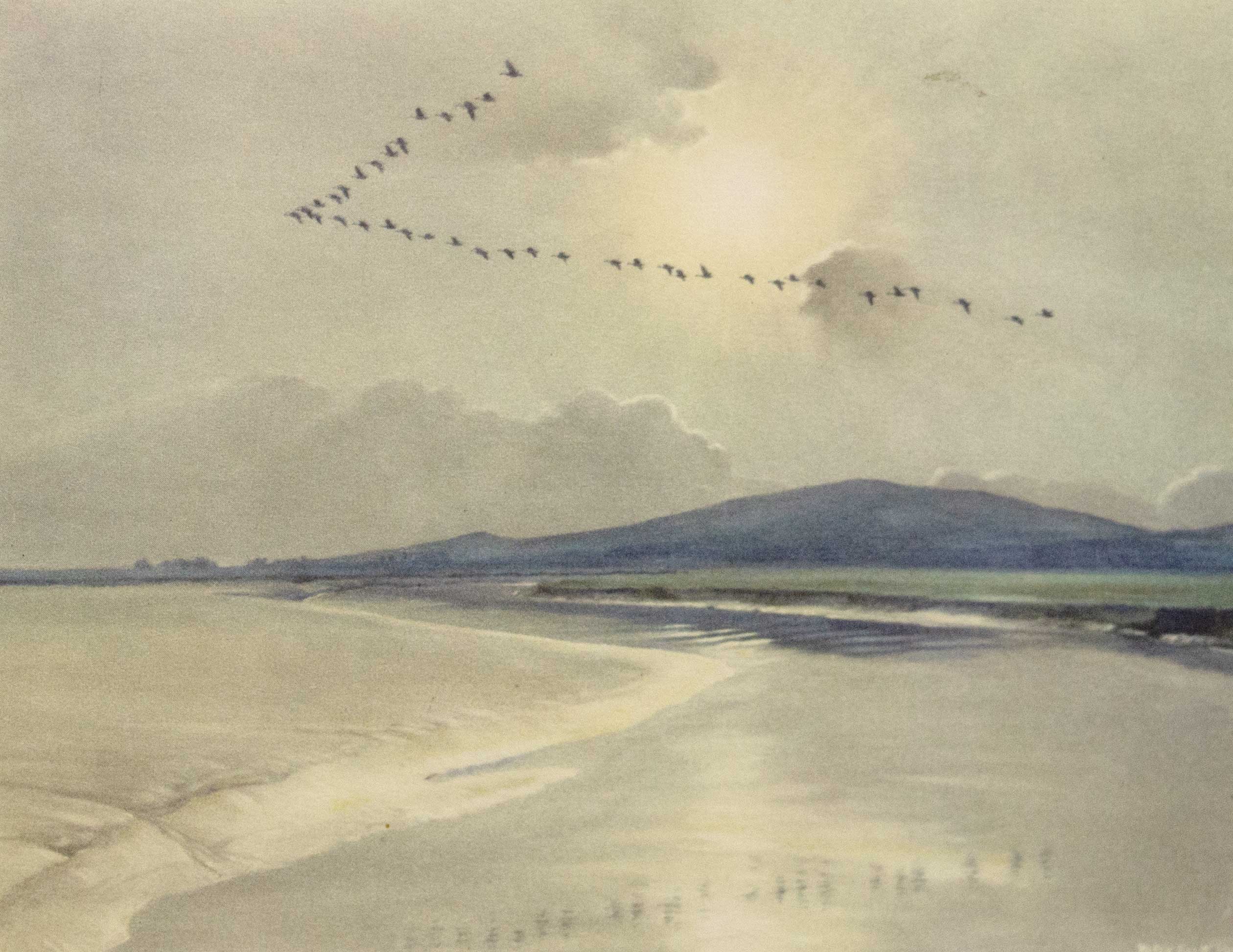 Untitled - Birds in Flight